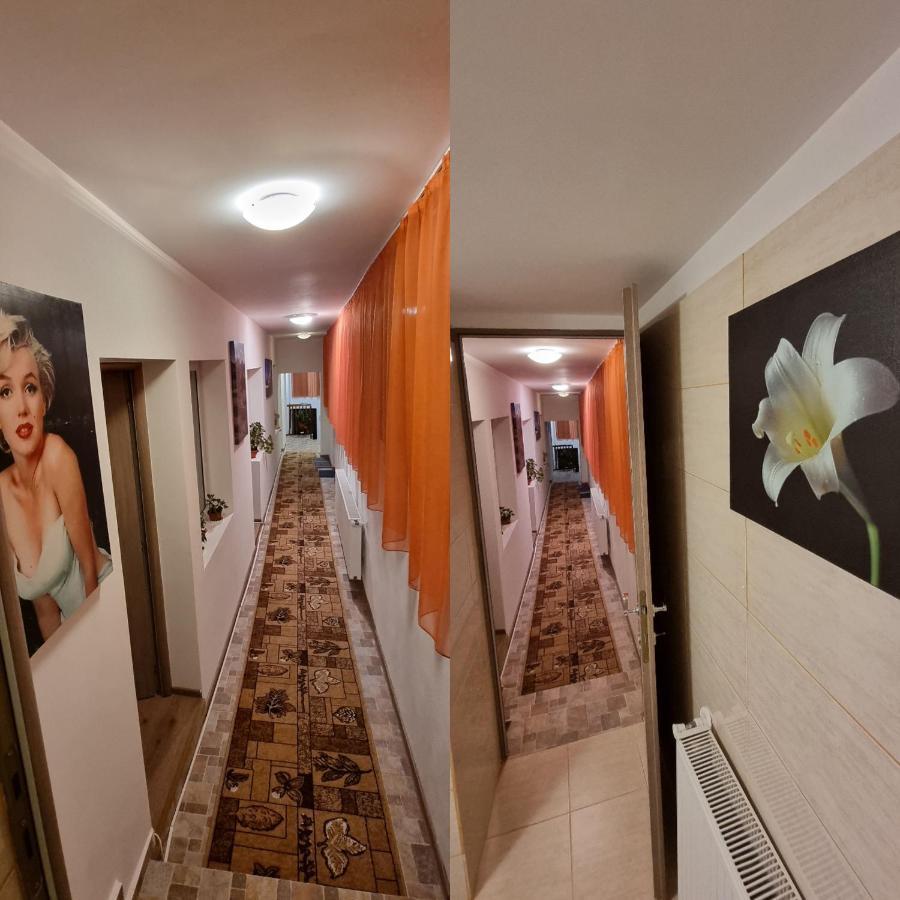Roca House Villa Брашов Екстериор снимка