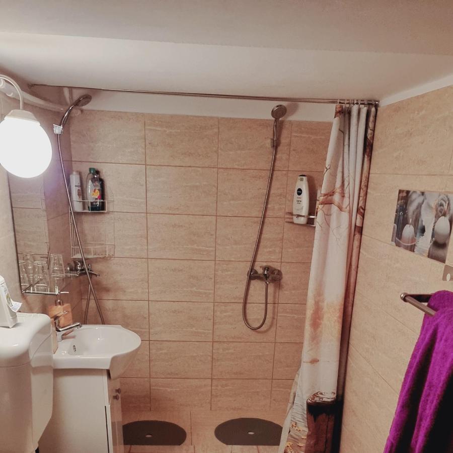 Roca House Villa Брашов Екстериор снимка