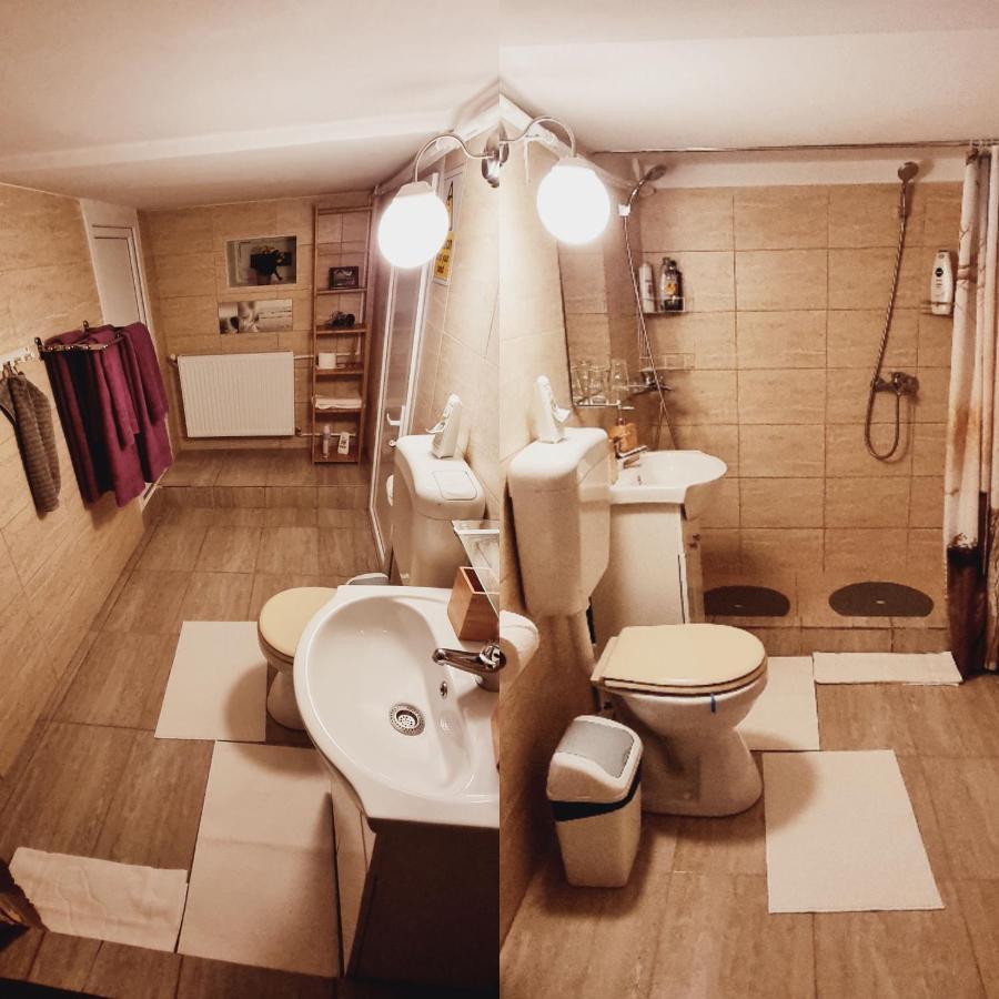 Roca House Villa Брашов Екстериор снимка