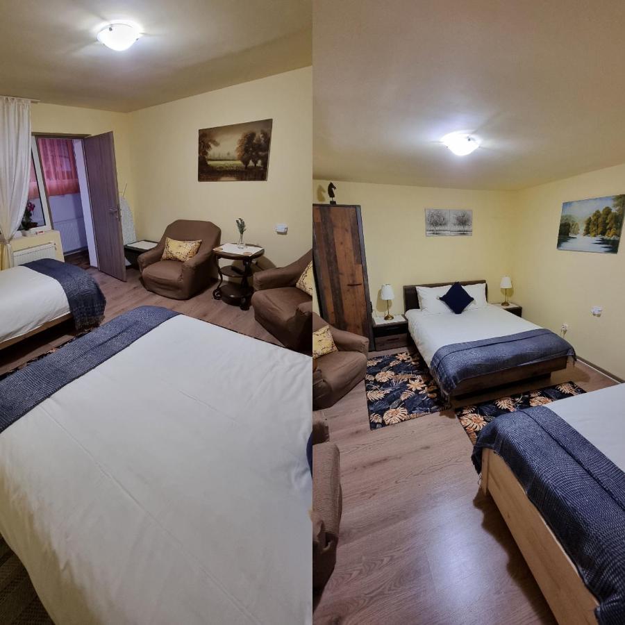 Roca House Villa Брашов Екстериор снимка