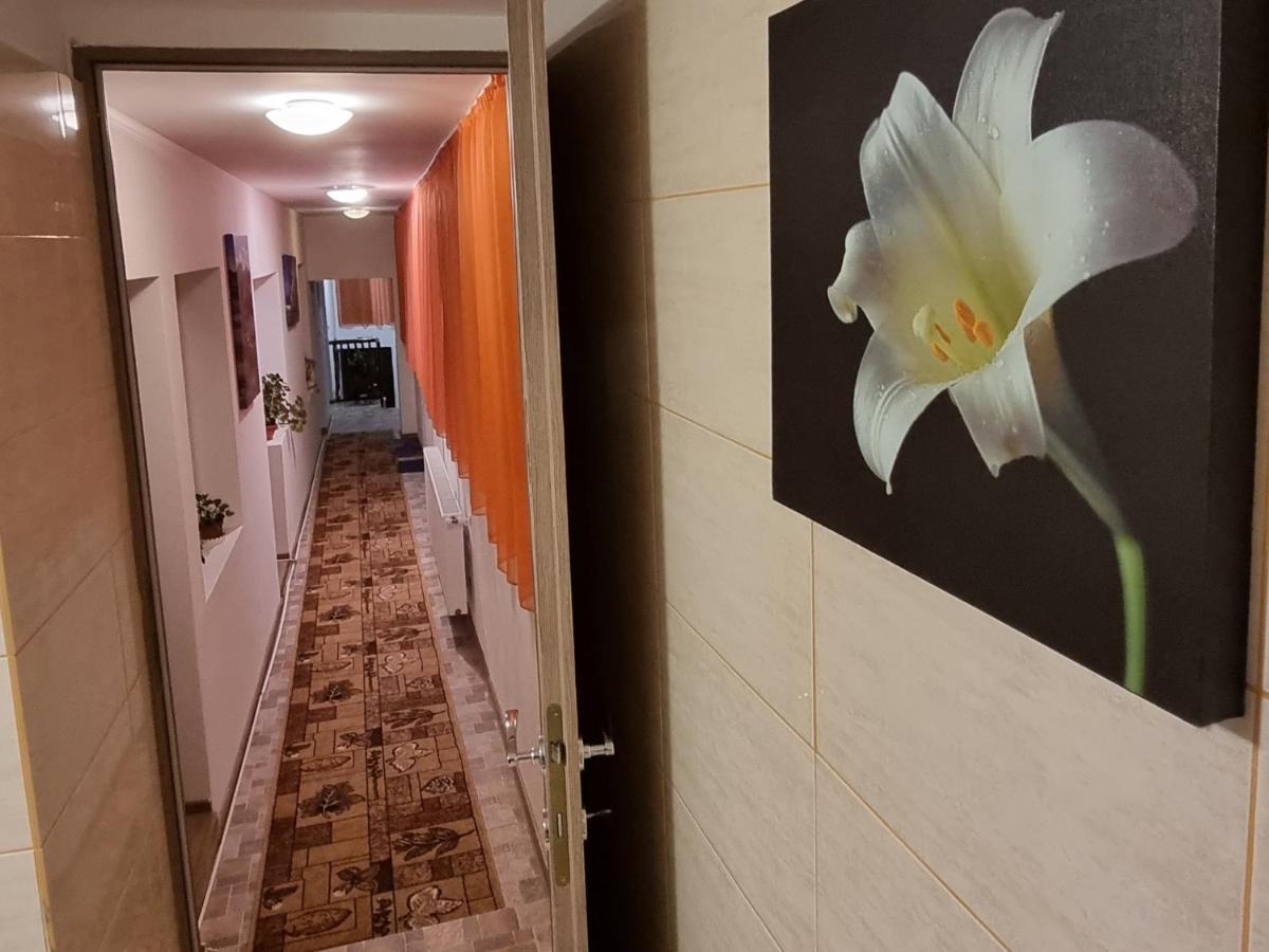 Roca House Villa Брашов Екстериор снимка
