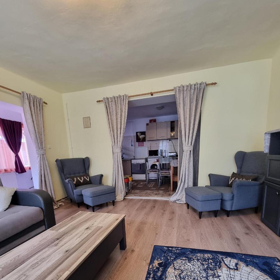 Roca House Villa Брашов Екстериор снимка