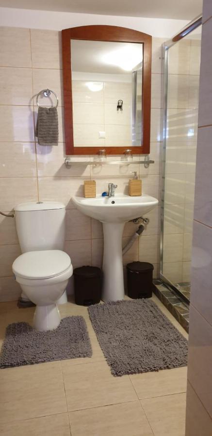 Roca House Villa Брашов Екстериор снимка